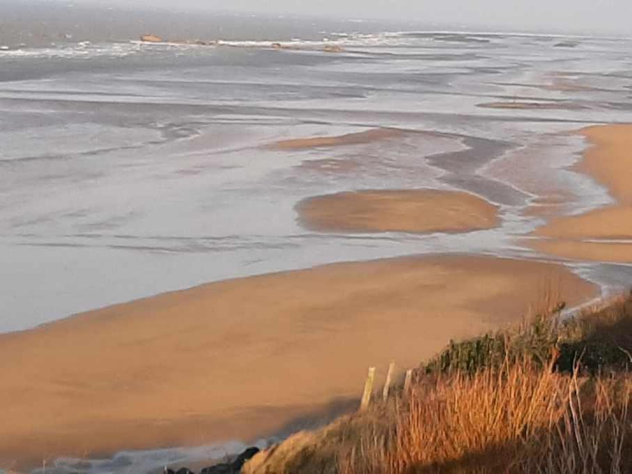 Les Heures Tranquilles - Vue Mer - 50M De La Plage Saint-Côme-de-Fresné エクステリア 写真