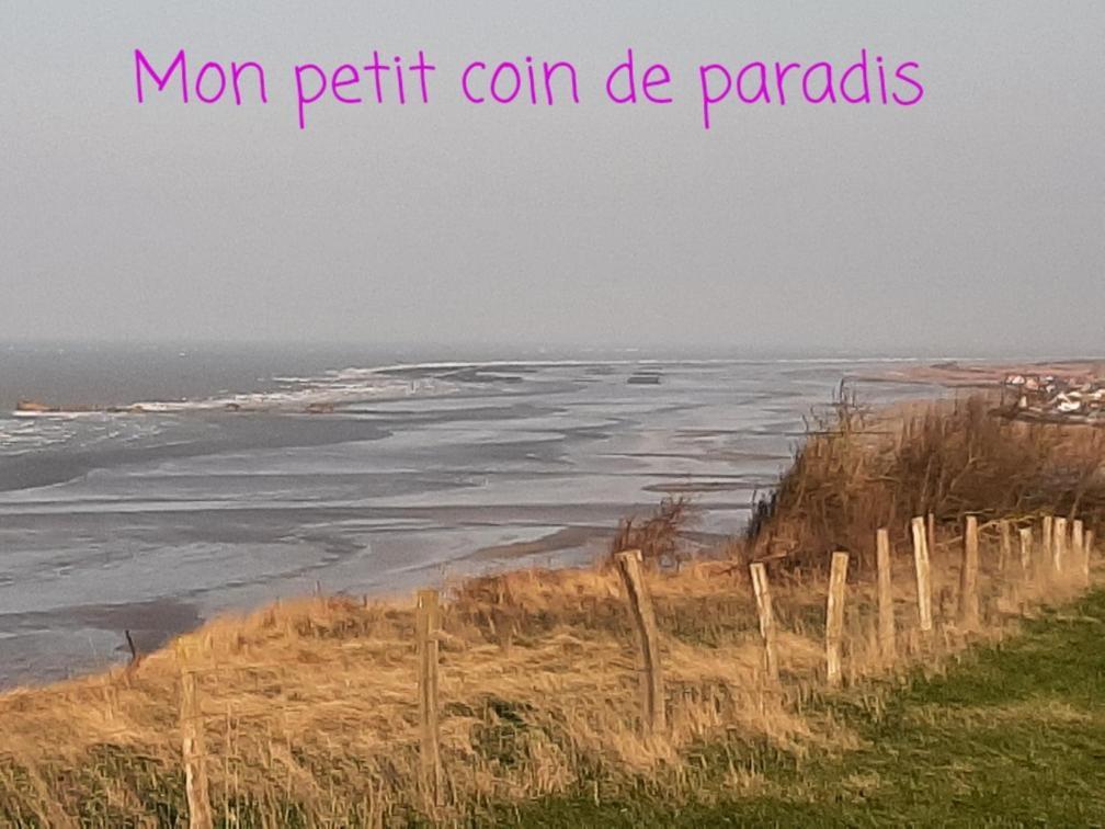 Les Heures Tranquilles - Vue Mer - 50M De La Plage Saint-Côme-de-Fresné エクステリア 写真